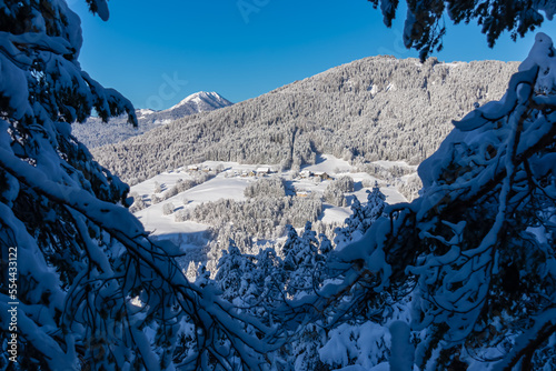 Panoramic view of mountain summit Osternig in Julian Alps seen from Kobesnock near Bad Bleiberg, Carinthia, Austria, Europe. Heavy snow covered hanging fir tree in winter wonderland in foreground photo