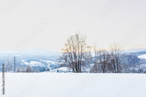 Beautiful winter landscape with snow covered trees © Roman's portfolio