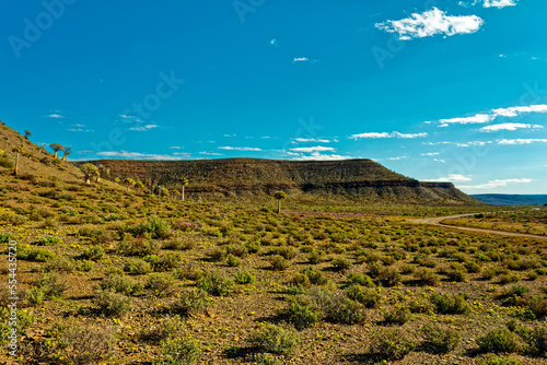 Landscape of flat Karoo hills and kokerboom photo