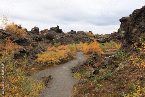 Dimmuborgir, or the Black Fortress, is lava fields in the Lake Mývatn area.