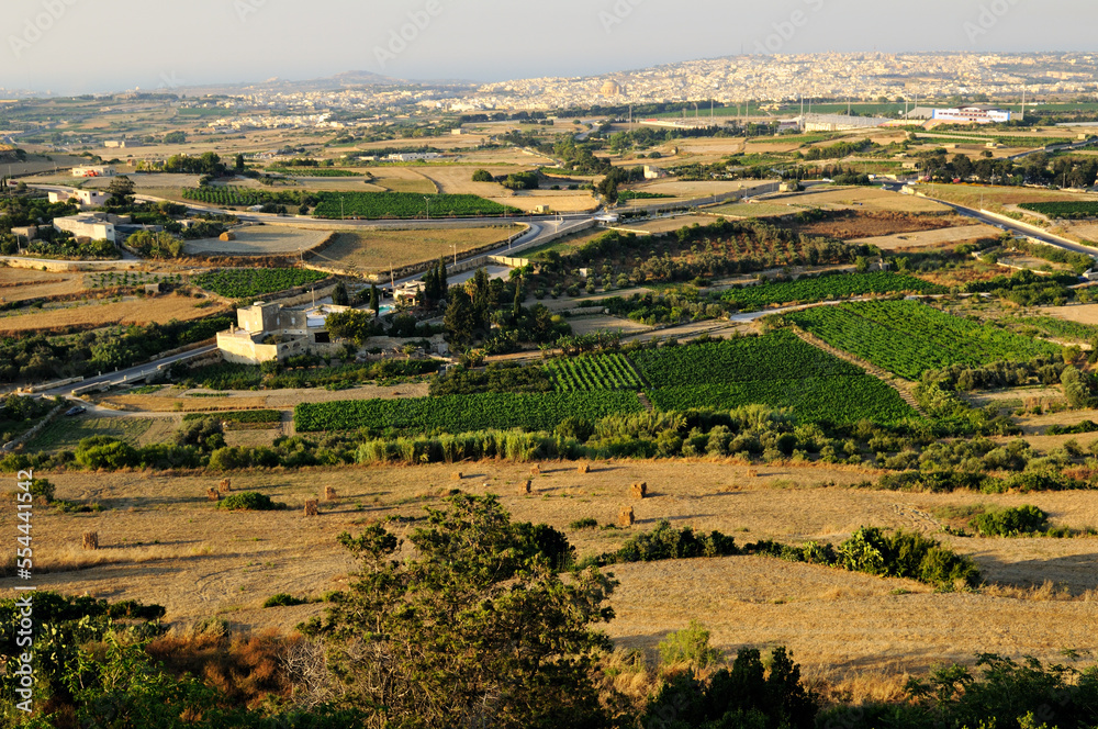 Panorama sur les cultures depuis Mdina, avec au loin, la ville de Mosta, Malte