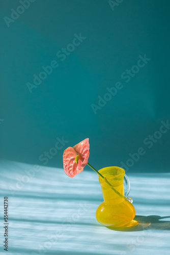 おしゃれで近代的な青い背景のアンスリウムと黄色い花瓶。