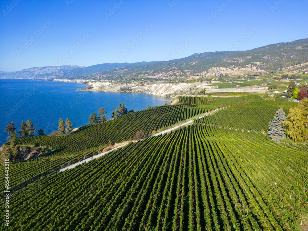 Naramata Bench Okanagan Lake Winery Vineyard Aerial