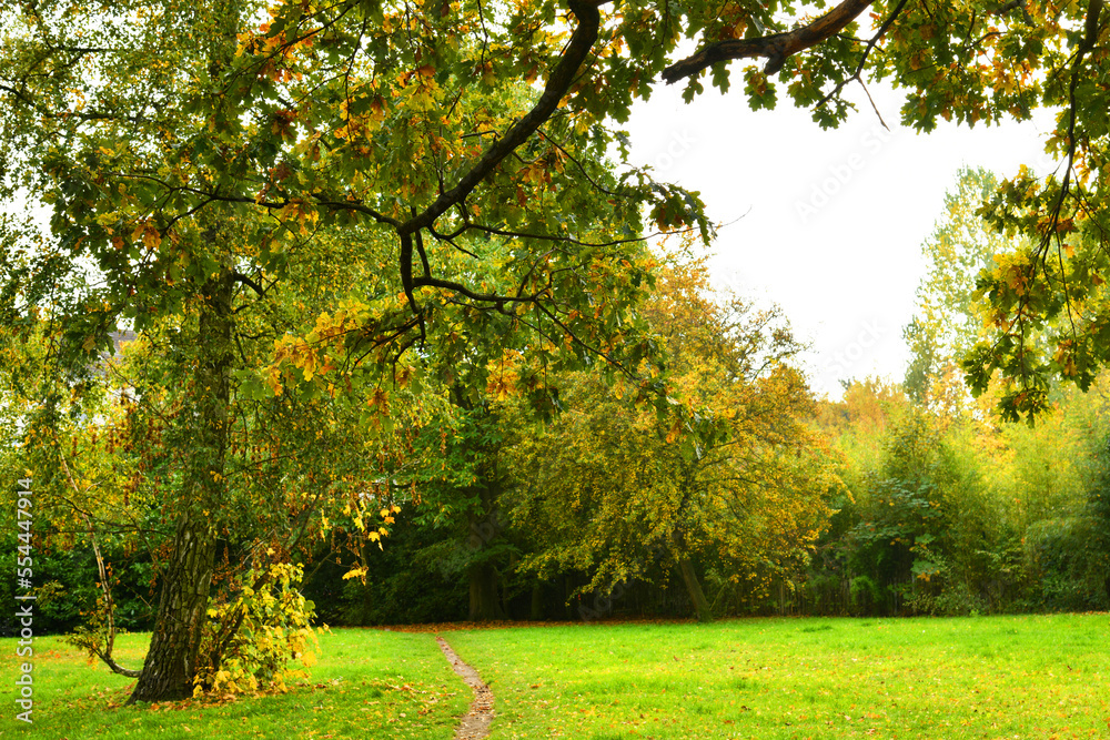 Naklejka premium Autumn landscape. Pathway through the autumn park.