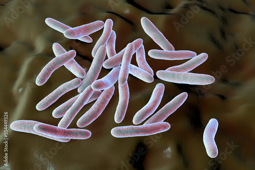 Pseudoalteromonas tetraodonis bacteria, 3D illustration. Marine bacteria living in surface slime of the puffer fish and secreting neurotoxin, tetrodotoxin photo