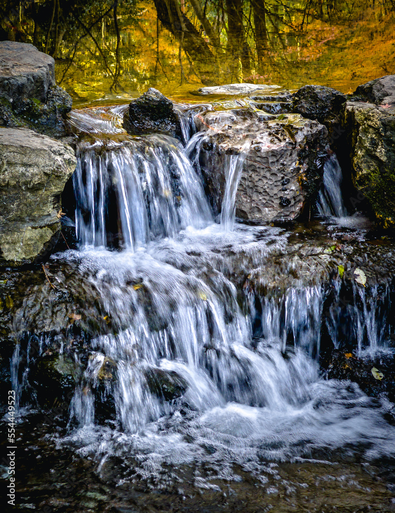 Fototapeta premium waterfall in the forest