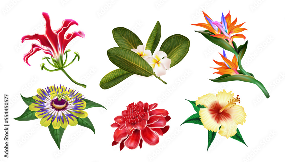 Tribals stock vector. Illustration of asia, flora, flower - 5228300