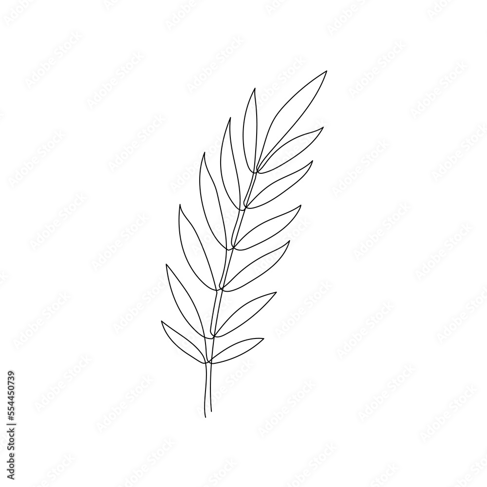 Line bay laurel leaf branch art. One continuous line art decorative bay laurel leaf draw. Editable stroke single branch element. Isolated vector illustration Line bay laurel leaf branch art. One continuous line art decorative bay laurel leaf draw. Editable stroke single branch element. Isolated vector illustration