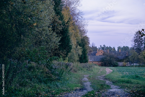 agricultural country road through fireld leading to old abandoned house in Latvia countryside