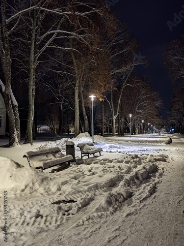 snow evening in the park of small european town in winter