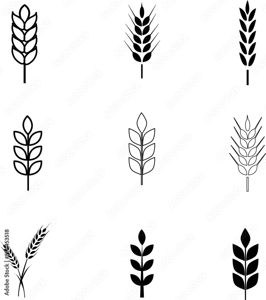 Wheat ears icon set on white background..eps