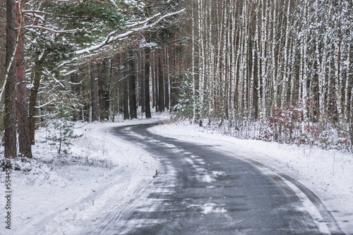 Wysoki, sosnowy las. Między drzewami jest wąska asfaltowa droga. Drzewa, ziemia i jezdnia pokryte są warstwą śniegu.