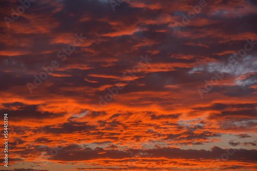 Abstract red cloud at sunset