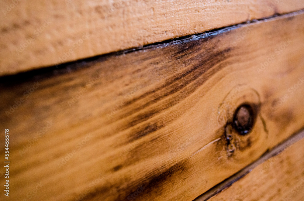 Fototapeta premium WOOD, wood,pine,birtch,