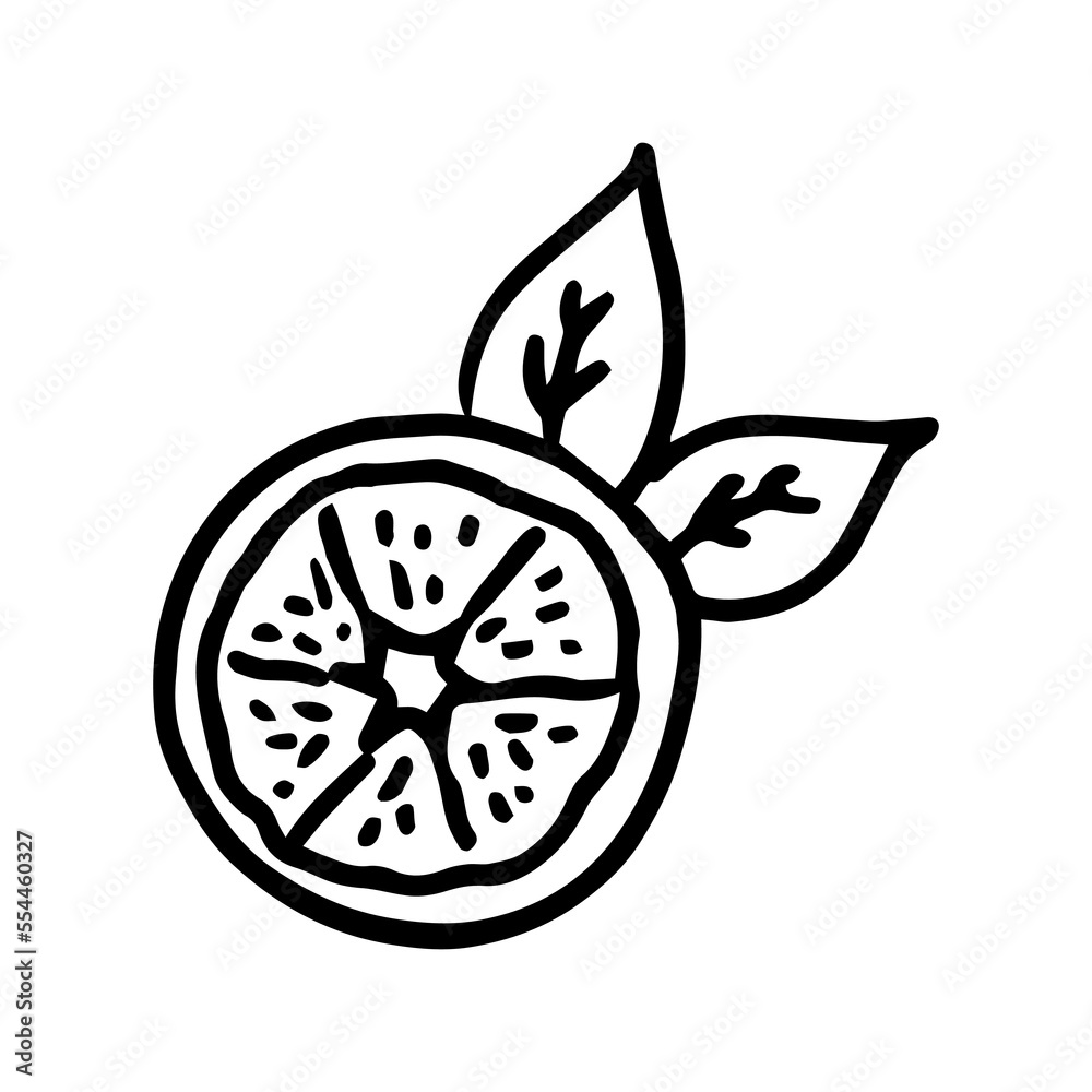 Lemon cut doodle illustration in vector. Hand drawn. Lemon cut doodle illustration in vector. Hand drawn.