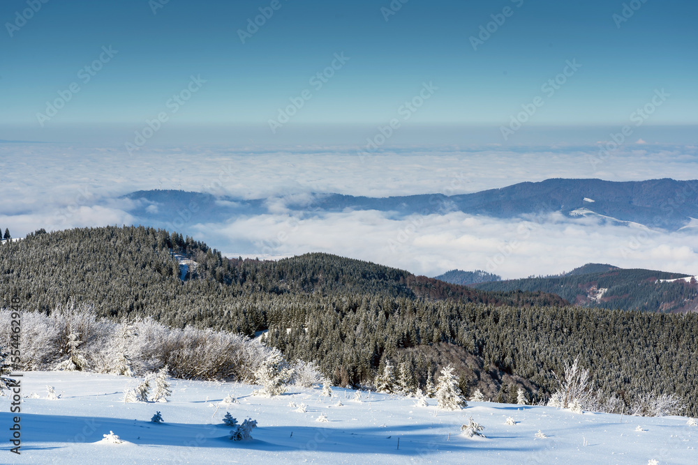 Feldberg Feldberg