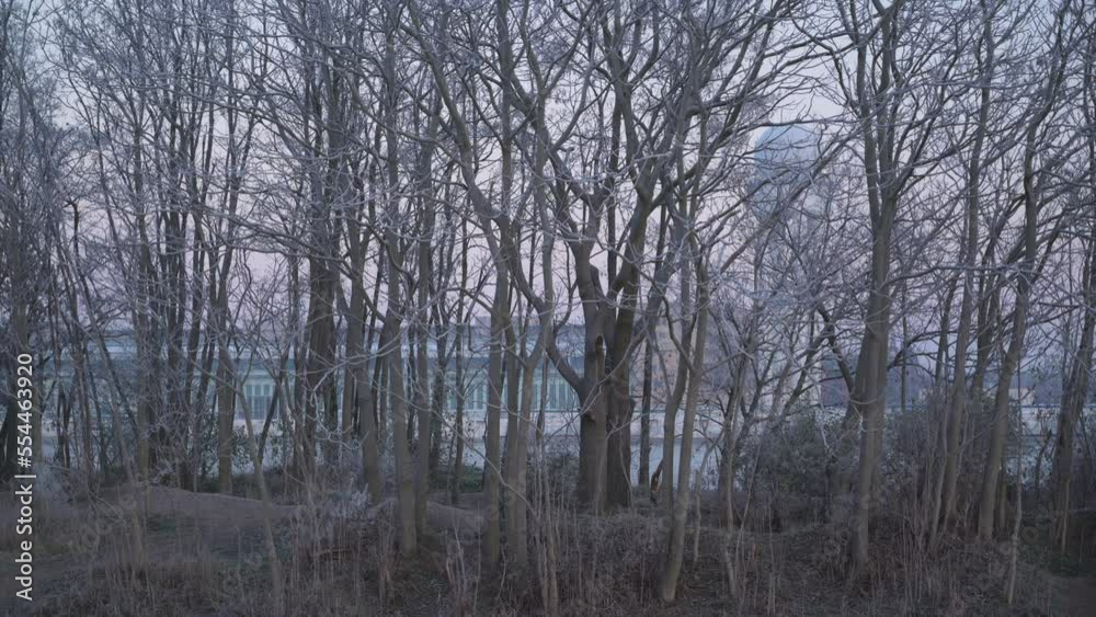 Tempelhof airport behind trees at dusk in winter 4K Tempelhof airport behind trees at dusk in winter 4K