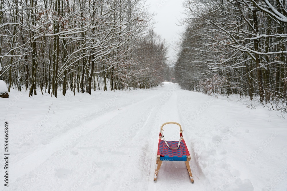 Winter background in nature with sled. Trees and snowy landscape during outdoor activities in winter. Winter background in nature with sled. Trees and snowy landscape during outdoor activities in winter.