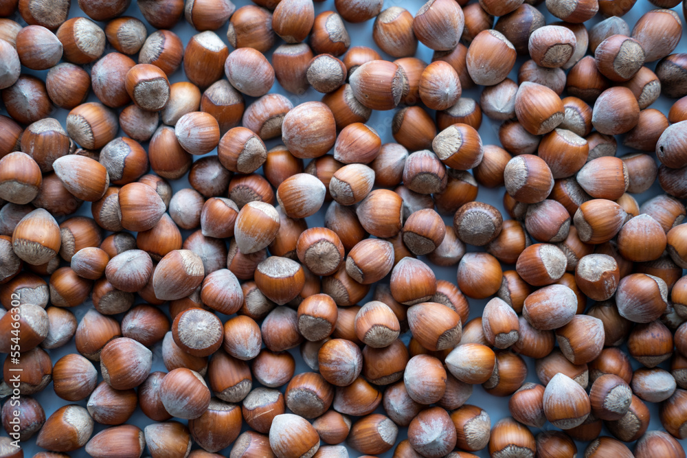 Hazelnut background, Hazelnut food background texture, nut. Selective focus, top view. Hazelnut background, Hazelnut food background texture, nut. Selective focus, top view.