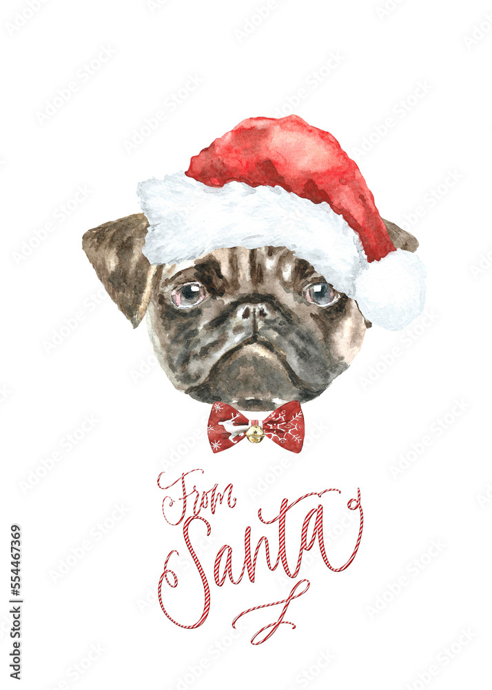 Watercolor pug illustration dogs breeds collection, Merry Christmas greeting card, Dog in santa,elf hat,  clothes, funny character printable portrait, costume, New year,lettering diy card design