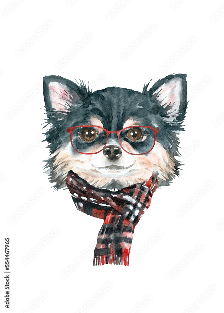 Fototapeta premium Watercolor chihuahua illustration dogs breeds collection, Merry Christmas greeting card, Dog in santa,elf hat, clothes, funny character printable portrait, costume, New year,lettering diy card design