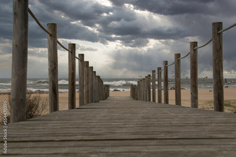 Fototapeta premium Wooden path to the beach