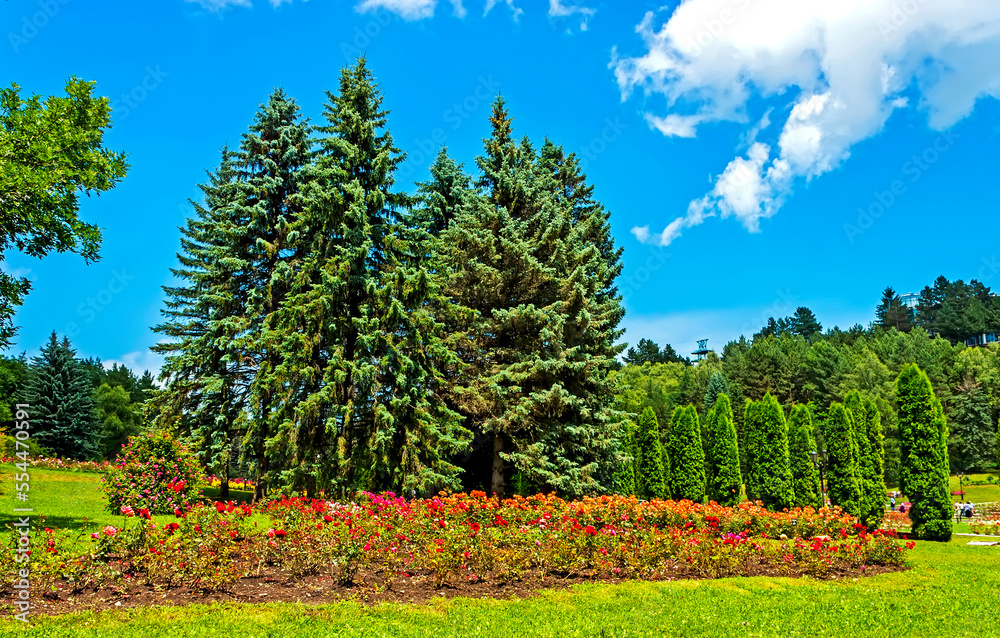 Landscape with trees and flowers in old park.