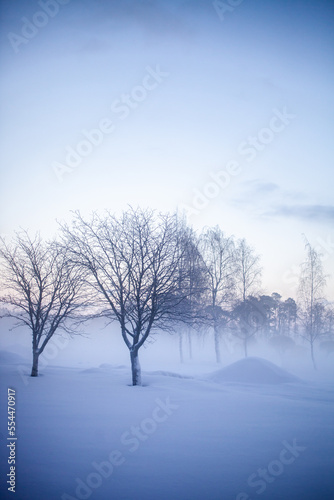 Winter wonderland in Finland © Kati Finell