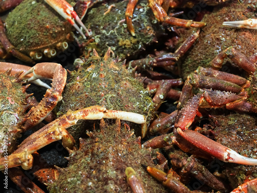 Raw fresh crabs at a fish market