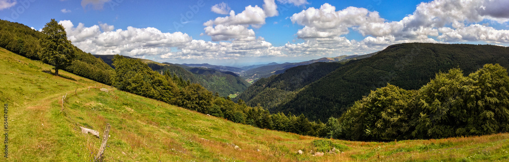 Les hautes chaumes vosgiennes en été, espaces naturels de la montagne, CEA, Alsace, Vosges, Grand Est, France
