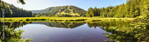 Radeau de tourbe sur la tourbière et lac de Lispach, La Bresse, CEA, Alsace, Vosges, Lorraine, Grand Est, France