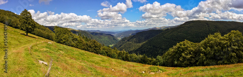 Les hautes chaumes vosgiennes en été, espaces naturels de la montagne, CEA, Alsace, Vosges, Grand Est, France © Olivier Klencklen