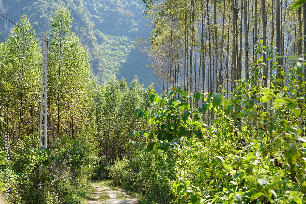 Fototapeta premium Family Camping in the middle of nature in Northern Vietnam