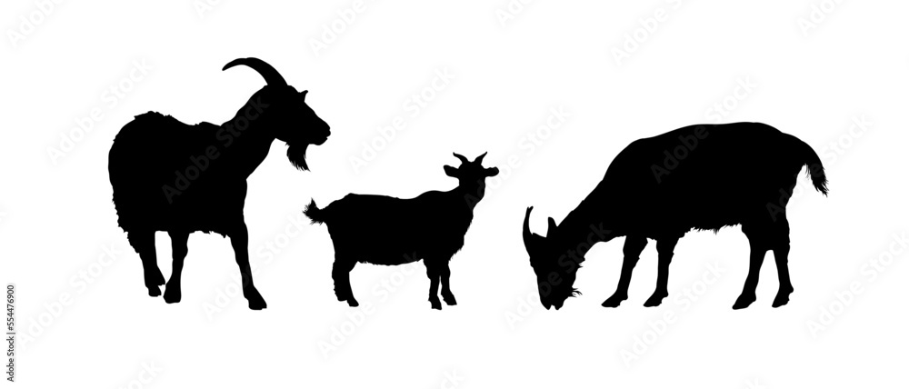 set of goat silhouettes - obrazy, fototapety, plakaty 