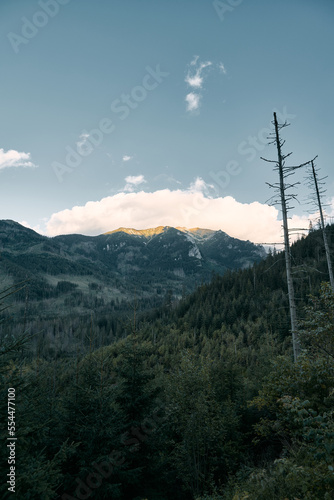 mountain range and layers of green hill mountain in Zakopane, Poland © AlexGo