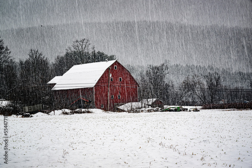 Snow falls heavily with a red barn almost hidden during this winter storm.  Red barn at the edge of the field during a near whiteout in Windsor in Upstate NY.