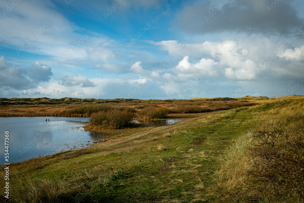 the dunes of the island texel with a small pond