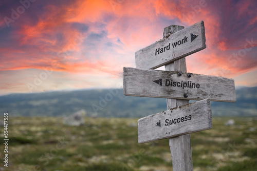 hard work discipline success text quote engraved on wooden signpost crossroad outdoors in nature. Dramatic pink skies in the background.