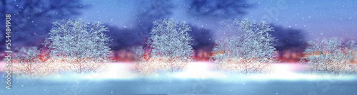 Winter  city, park trees covered by snow ,soft evening street lantern warm  light snowflakes banner template © Aleksandr