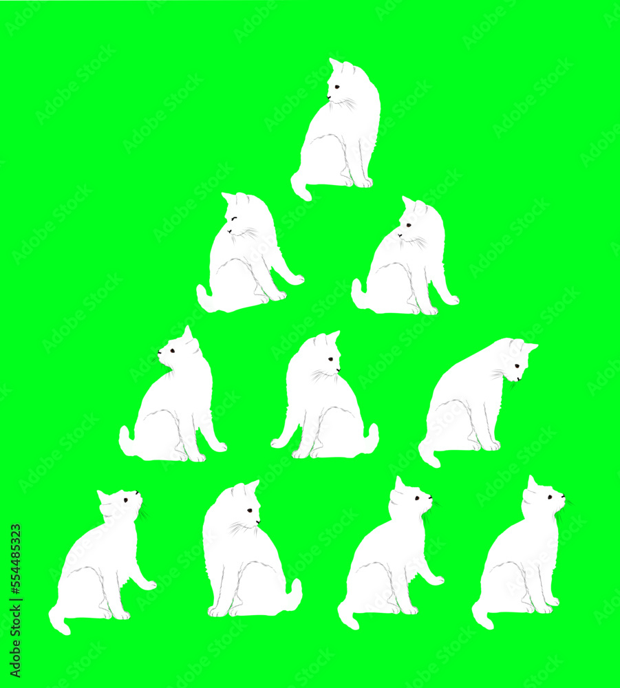 Set of white cats with different sitting poses, vector, minimal style