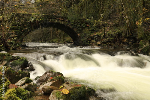Petite rivière sous un pont en automne