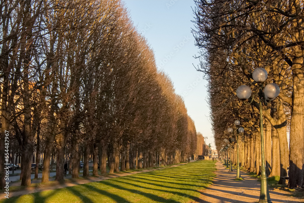 Autumn trees in the park in Paris, France