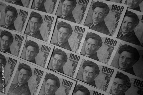 画面いっぱいに千円札の野口英世 photo