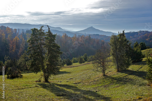 Herbst- und Nebelstimmung beim Hohenzollern; Schwäbische Alb; Blick von der Beurener Wacholderheide; photo