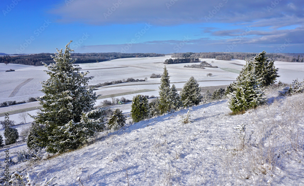 Winterlandschaft mit Wacholderheide auf der Schwäbischen Alb beim Kornbühl