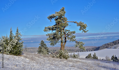 Winterlandschaft auf der Schwäbischen Alb beim Kornbühl photo