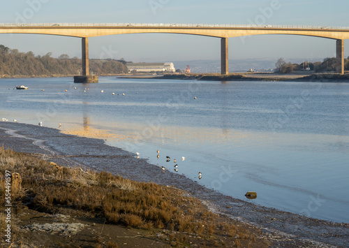 Wallpaper Mural Winter in the River Torridge estuary with waders and Bideford new bridge. Torontodigital.ca