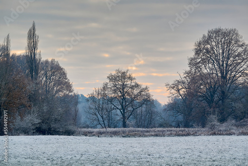 Wallpaper Mural winter wonderland Torontodigital.ca