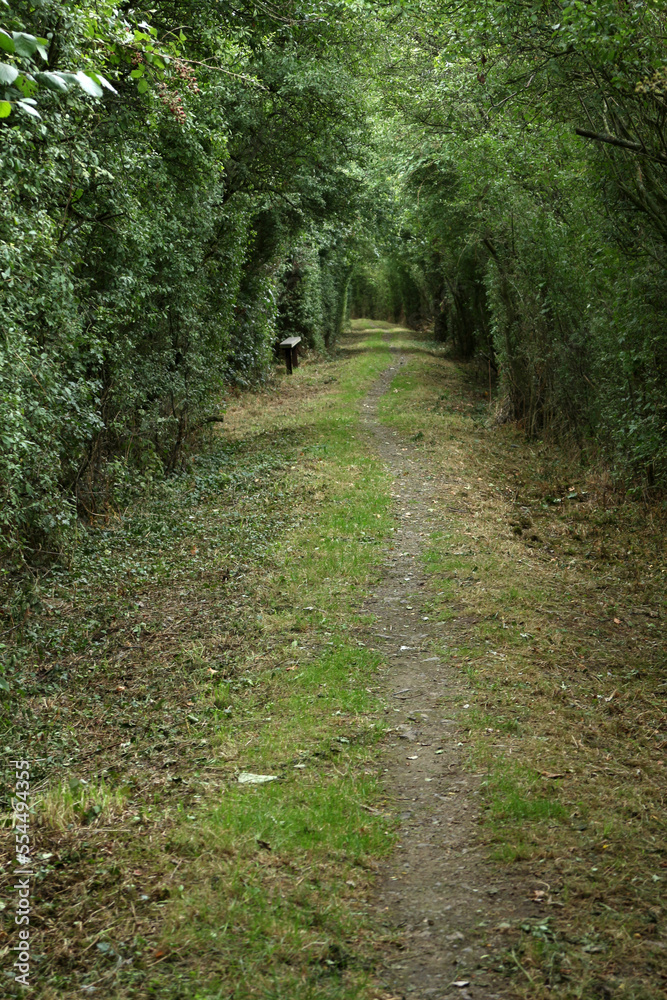 Walking Trail in the countryside - Parc Regional des caps et marais d'opales - Buysscheure - Nord - Hauts-de-France - France Walking Trail in the countryside - Parc Regional des caps et marais d'opales - Buysscheure - Nord - Hauts-de-France - France