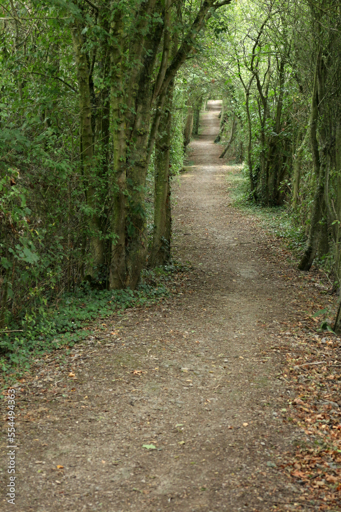 Naklejka premium Walking Trail in the countryside - Parc Regional des caps et marais d'opales - Buysscheure - Nord - Hauts-de-France - France
